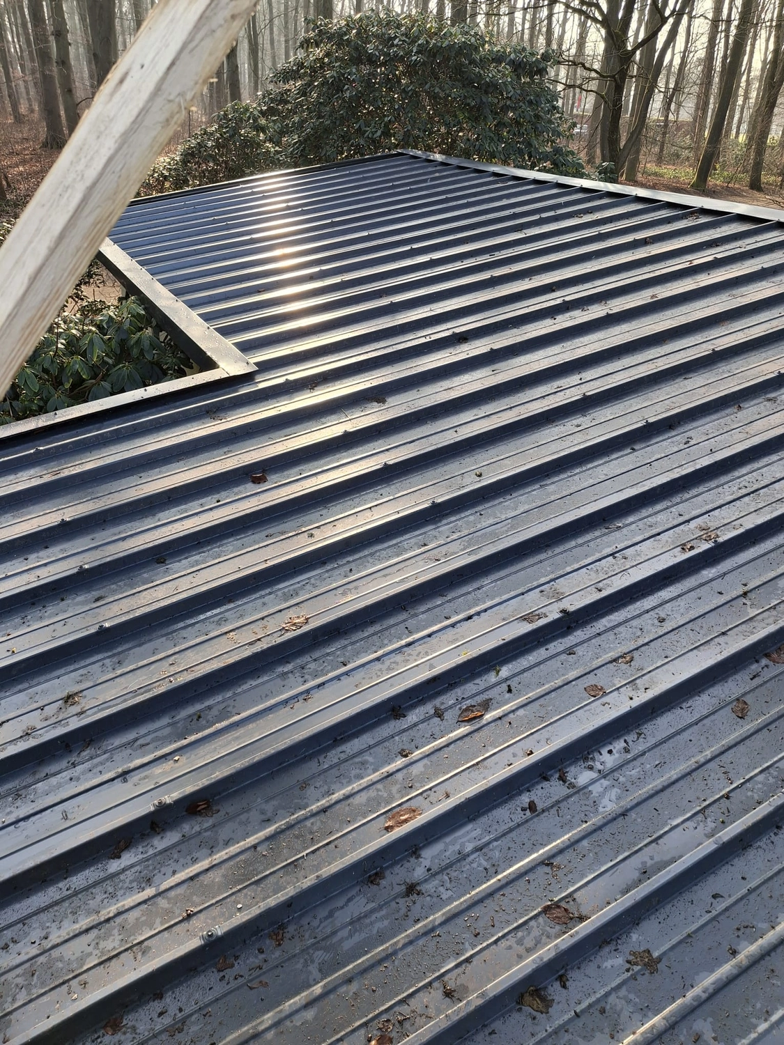 Rehbein – Dachdecker Im Reisegewerbe – Dachdeckung